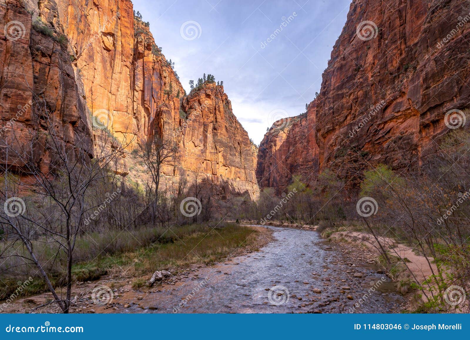 zion national park